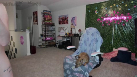 pr3ttyp1nkpussy  02-08-2022